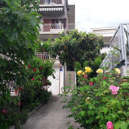 Apartman Adriatic Pavlinovic - מאקרסקה מראה חיצוני תמונה