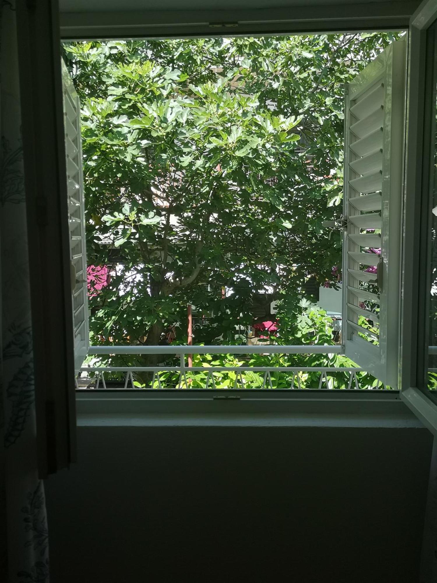 Apartman Adriatic Pavlinovic - מאקרסקה מראה חיצוני תמונה