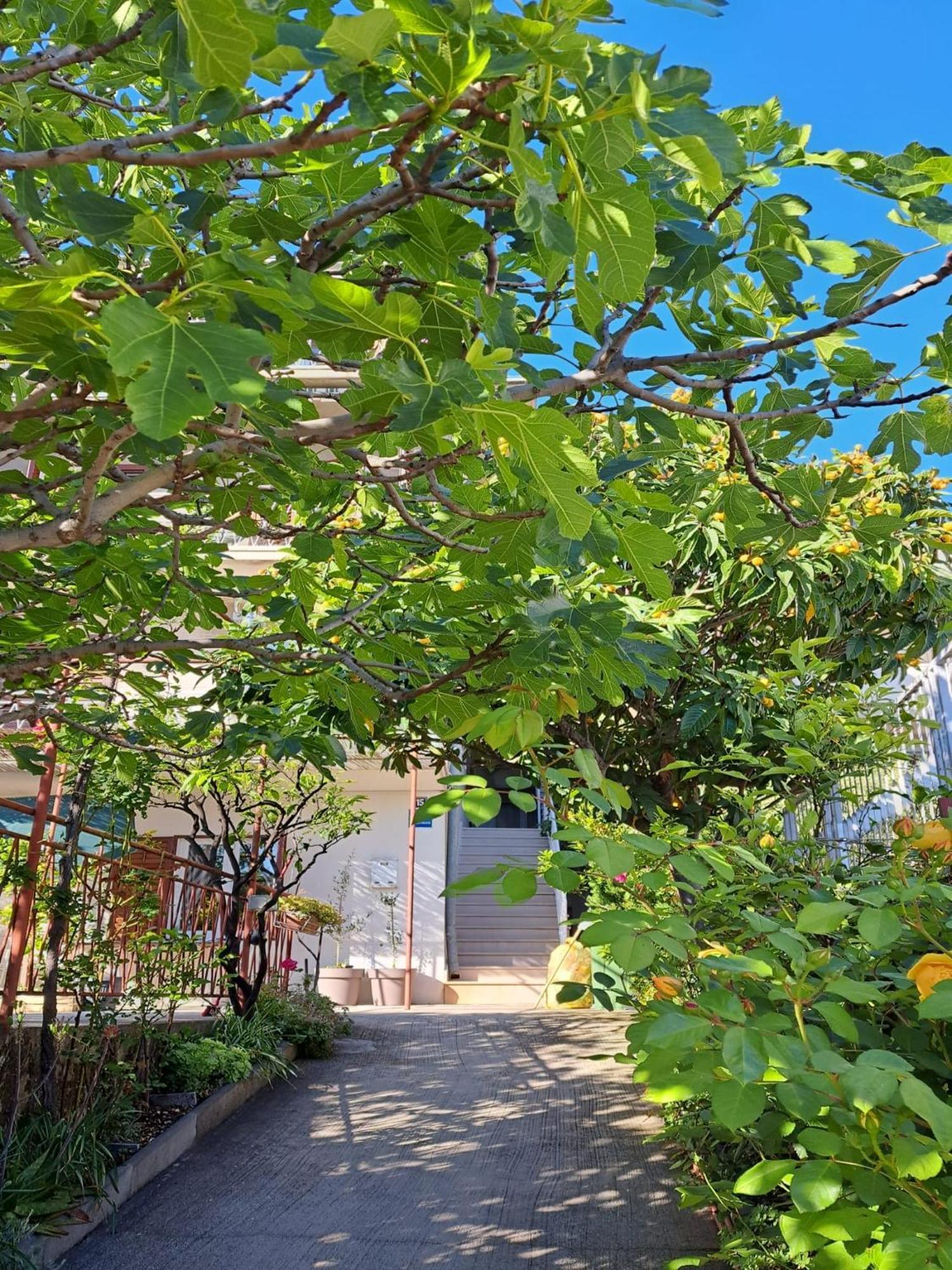 Apartman Adriatic Pavlinovic - מאקרסקה מראה חיצוני תמונה