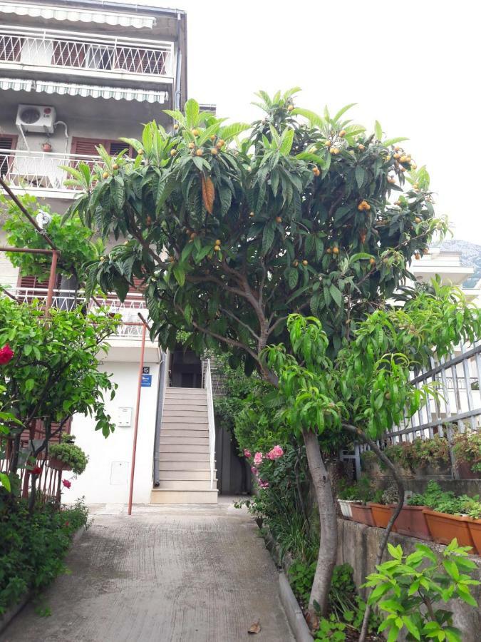 Apartman Adriatic Pavlinovic - מאקרסקה מראה חיצוני תמונה